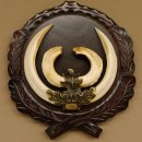 Wildschweinwaffen (Sus scrofa) hochkapitale Keilerwaffen max. 19 cm Trophäe Keiler Gewaff Trophäenschild