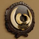 Wildschweinwaffen (Sus scrofa) hochkapitale Keilerwaffen max. 19 cm Trophäe Keiler Gewaff Trophäenschild