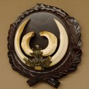 Wildschweinwaffen (Sus scrofa) hochkapitale Keilerwaffen max. 19 cm Trophäe Keiler Gewaff Trophäenschild