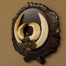 Wildschweinwaffen (Sus scrofa) hochkapitale Keilerwaffen max. 19 cm Trophäe Keiler Gewaff Trophäenschild