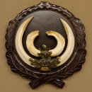 Wildschweinwaffen (Sus scrofa) hochkapitale Keilerwaffen max. 19 cm Trophäe Keiler Gewaff Trophäenschild