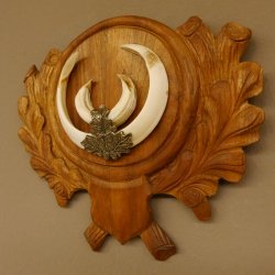 Wildschweinwaffen (Sus scrofa) Keilerwaffen max. 18 cm Trophäe Keiler Gewaff Trophäenschild