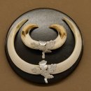 Wildschweinwaffen (Sus scrofa) Keilerwaffen max. 19,5 cm Trophäe Keiler Gewaff Trophäenschild