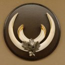 Wildschweinwaffen (Sus scrofa) Keilerwaffen max. 17 cm Trophäe Keiler Gewaff rundes Schild