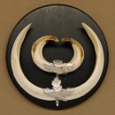 Wildschweinwaffen (Sus scrofa) Keilerwaffen max. 20,5 cm Note 1, Trophäe Keiler Gewaff Trophäenschild