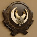 Wildschweinwaffen (Sus scrofa) Keilerwaffen max. 14 cm Trophäe Keiler Gewaff Trophäenschild