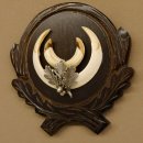 Wildschweinwaffen (Sus scrofa) Keilerwaffen max. 14 cm Trophäe Keiler Gewaff Trophäenschild