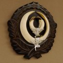 Wildschweinwaffen (Sus scrofa) Keilerwaffen max. 17 cm Trophäe Keiler Gewaff Trophäenschild