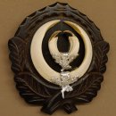 Wildschweinwaffen (Sus scrofa) Keilerwaffen max. 17 cm Trophäe Keiler Gewaff Trophäenschild