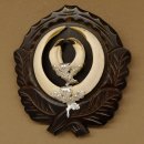 Wildschweinwaffen (Sus scrofa) Keilerwaffen max. 17 cm Trophäe Keiler Gewaff Trophäenschild