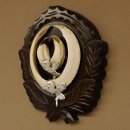 Wildschweinwaffen (Sus scrofa) Keilerwaffen max. 17 cm Trophäe Keiler Gewaff Trophäenschild