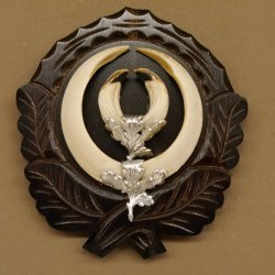 Wildschweinwaffen (Sus scrofa) Keilerwaffen max. 17 cm Trophäe Keiler Gewaff Trophäenschild