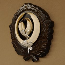 Wildschweinwaffen (Sus scrofa) Keilerwaffen max. 17 cm Trophäe Keiler Gewaff Trophäenschild