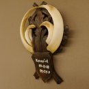 Wildschweinwaffen (Sus scrofa) Keilerwaffen max. 19 cm, 99 CIC Punkte Trophäe Keiler Gewaff geschitztem Schild