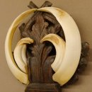 Wildschweinwaffen (Sus scrofa) Keilerwaffen max. 19 cm, 99 CIC Punkte Trophäe Keiler Gewaff geschitztem Schild