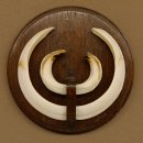 Wildschweinwaffen (Sus scrofa) Keilerwaffen max. 19,5 cm Trophäe Keiler Gewaff Trophäenschild