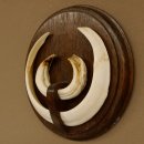 Wildschweinwaffen (Sus scrofa) Keilerwaffen max. 19,5 cm Trophäe Keiler Gewaff Trophäenschild