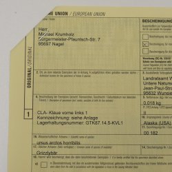 GRIZZLY Bärenkralle Krallenlänge 7,7 cm linke Vorderkralle Bär mit Genehmigung zum Verkauf