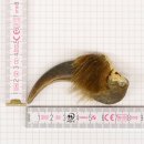 GRIZZLY Bärenkralle Krallenlänge 6,2 cm linke...