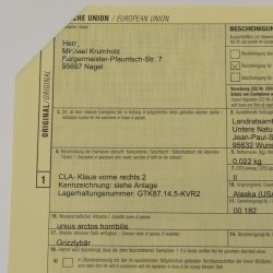 GRIZZLY Bärenkralle Krallenlänge 7,6 cm rechte Vorderkralle Bär mit Genehmigung zum Verkauf