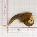 GRIZZLY Bärenkralle Krallenlänge 7,0 cm rechte...