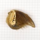 GRIZZLY Bärenkralle Krallenlänge 3,7 cm rechte...