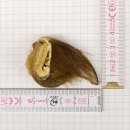 GRIZZLY Bärenkralle Krallenlänge 3,7 cm rechte...