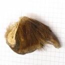 GRIZZLY Bärenkralle Krallenlänge 3,1 cm rechte...