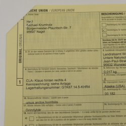 GRIZZLY Bärenkralle Krallenlänge 3,1 cm rechte Hinterfußkralle Bär mit Genehmigung zum Verkauf