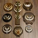 Wildschweinwaffen (Sus scrofa) 10 Stück Keilerwaffen Trophäe Keiler Gewaff versch. Trophäenschilder