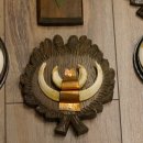 Wildschweinwaffen (Sus scrofa) 10 Stück Keilerwaffen Trophäe Keiler Gewaff versch. Trophäenschilder