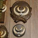 Wildschweinwaffen (Sus scrofa) 10 Stück Keilerwaffen Trophäe Keiler Gewaff versch. Trophäenschilder