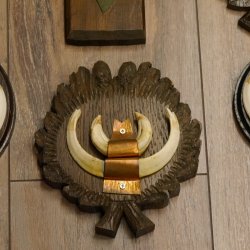 Wildschweinwaffen (Sus scrofa) 10 Stück Keilerwaffen Trophäe Keiler Gewaff versch. Trophäenschilder