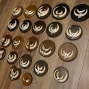 Wildschweinwaffen (Sus scrofa) 22 Stück Keilerwaffen Trophäe Keiler Gewaff versch. Trophäenschilder