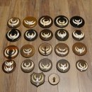 Wildschweinwaffen (Sus scrofa) 22 Stück Keilerwaffen Trophäe Keiler Gewaff versch. Trophäenschilder