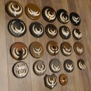 Wildschweinwaffen (Sus scrofa) 22 Stück Keilerwaffen Trophäe Keiler Gewaff versch. Trophäenschilder