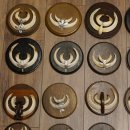 Wildschweinwaffen (Sus scrofa) 22 Stück Keilerwaffen Trophäe Keiler Gewaff versch. Trophäenschilder