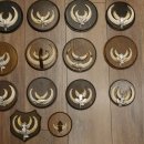 Wildschweinwaffen (Sus scrofa) 22 Stück Keilerwaffen Trophäe Keiler Gewaff versch. Trophäenschilder