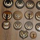 Wildschweinwaffen (Sus scrofa) 22 Stück Keilerwaffen Trophäe Keiler Gewaff versch. Trophäenschilder