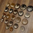 Wildschweinwaffen (Sus scrofa) 22 Stück Keilerwaffen Trophäe Keiler Gewaff versch. Trophäenschilder