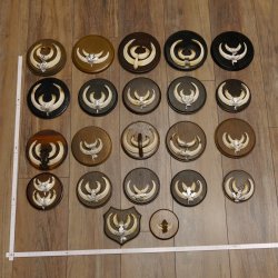 Wildschweinwaffen (Sus scrofa) 22 Stück Keilerwaffen Trophäe Keiler Gewaff versch. Trophäenschilder