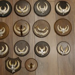 Wildschweinwaffen (Sus scrofa) 22 Stück Keilerwaffen Trophäe Keiler Gewaff versch. Trophäenschilder