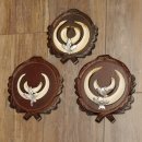 Wildschweinwaffen (Sus scrofa) 3 Stück Keilerwaffen bis 17 cm Trophäe Keiler Gewaff Trophäenschilder