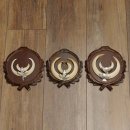 Wildschweinwaffen (Sus scrofa) 3 Stück Keilerwaffen bis 17 cm Trophäe Keiler Gewaff Trophäenschilder