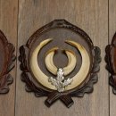 Wildschweinwaffen (Sus scrofa) 3 Stück Keilerwaffen bis 17 cm Trophäe Keiler Gewaff Trophäenschilder