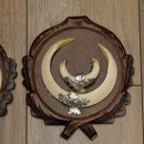 Wildschweinwaffen (Sus scrofa) 3 Stück Keilerwaffen bis 17 cm Trophäe Keiler Gewaff Trophäenschilder