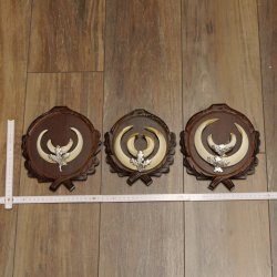 Wildschweinwaffen (Sus scrofa) 3 Stück Keilerwaffen bis 17 cm Trophäe Keiler Gewaff Trophäenschilder