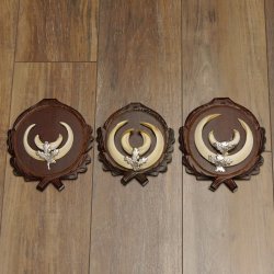 Wildschweinwaffen (Sus scrofa) 3 Stück Keilerwaffen bis 17 cm Trophäe Keiler Gewaff Trophäenschilder