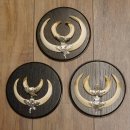 Wildschweinwaffen (Sus scrofa) 3 Stück Keilerwaffen bis 17 cm Trophäe Keiler Gewaff 32.267