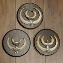 Wildschweinwaffen (Sus scrofa) 3 Stück Keilerwaffen bis 17 cm Trophäe Keiler Gewaff 32.267